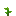 苞谷