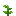 苞谷