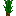 水稻