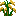 水稻