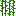 玉米作物_下部4