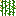 玉米作物_下部6