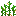 玉米作物_上部6