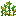 玉米作物_上部7