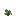 草莓苗