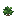 草莓苗