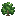草莓苗