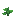 绿豆作物1