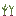 香芋作物