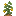 野生花生