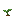 茄子