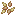瓜子